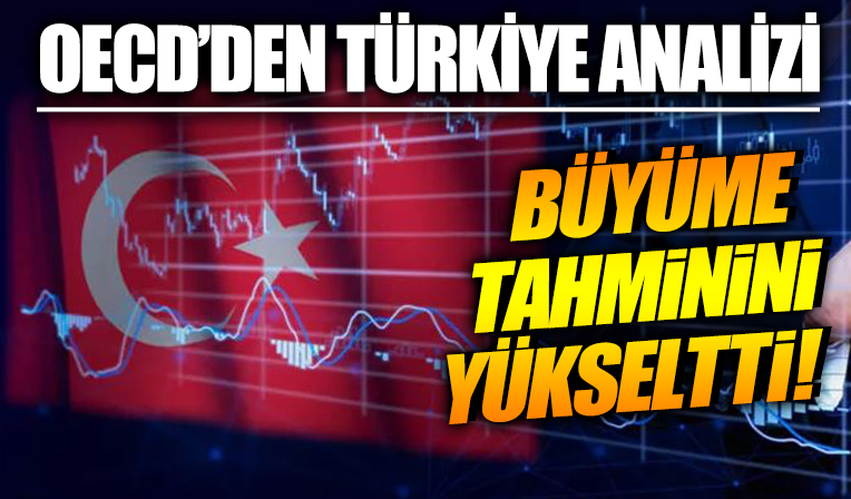 OECD Türkiye ekonomisi için büyüme tahminini yükseltti, enflasyon beklentisini düşürdü