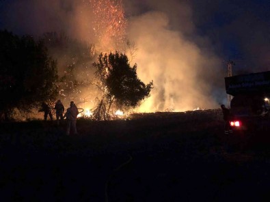 Trafodan Ormanlik Alana Siçrayan Yangin Büyümeden Söndürüldü