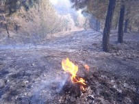 Afyonkarahisar'da Orman Yangini Çikti