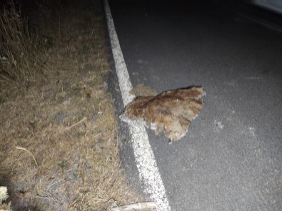 Ardahan'da Pes Pese Deprem Açiklamasi 4.2 Ile Sallandi, Artçilar Devam Ediyor