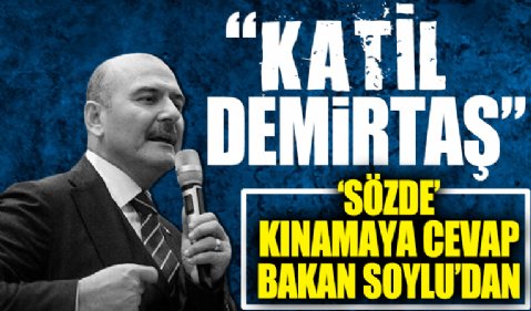 Bakan Soylu: Katil Demirtaş, PKK'yı burada bile temize çıkarıyorsun