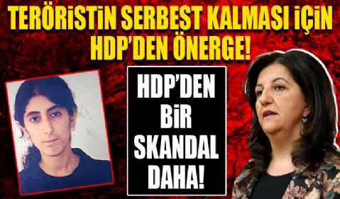 HDP'li Buldan Mersin'de bir polisi şehit eden teröristin serbest bırakılması için Meclis'e önerge vermiş