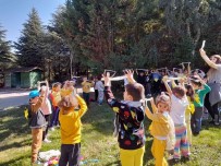 Miniklerden Dogayi Geziyorum Sonbahari Ögreniyorum Etkinligi