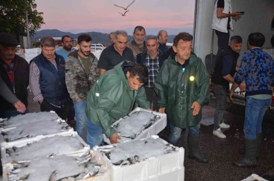 Balikçilarin Gün Dogmadan Baslayan 'Hal' Mesaisi