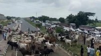 Dünyanın en ilginç protestosu! Binlercesi aynı anda sokakta dolaştı!