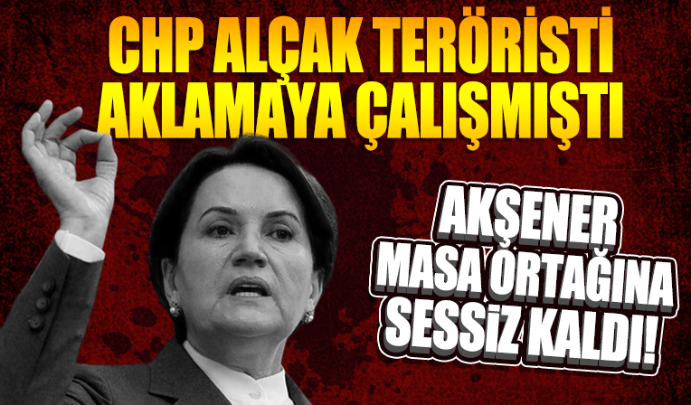 Meral Akşener bir polisimizi şehit eden teröristi 'mağdur gazeteci' olarak tanımlayan CHP'ye sessiz kaldı
