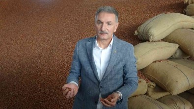 TMO Genel Müdürü Güldal'dan Findikta Serbest Piyasa Açiklamasi