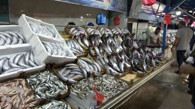 Vatandaslar Bu Sezon Palamuta Doydu