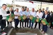 Yilin Ilk Erken Hasat Zeytinyagi Üretildi