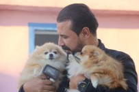 Yurt Disinda Gördü, Lice'de Milyonluk 'Pomeranian' Çiftligi Kurdu