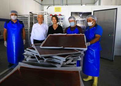 98 Ton Yas Ürün Kurutuldu