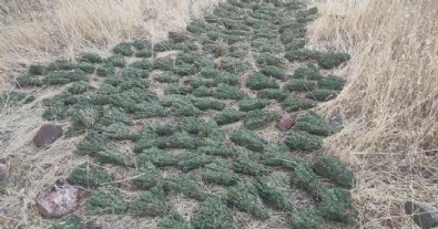 Diyarbakır'da terörün finans kaynağına ağır darbe