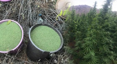 İçişleri Bakanlığı: Diyarbakır'da 596 kilo esrar ele geçirildi 