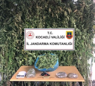 Kocaeli'de 4 Kilo 825 Gram Esrar Ele Geçirildi