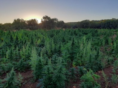 PKK Terör Örgütünün Finans Kaynagina Bir Darbe Daha