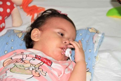 13 Aylik Bebegin Böbreginden Çikan Tas Sasirtti