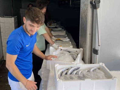 Bartin'dan Izmir'e Palamut Sevk Ediliyor