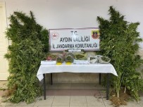Isabeyli'de, 2 Bin 520 Gram Uyusturucu Ve 51 Kök Hint Keneviri Ele Geçirildi