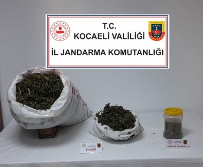 Kocaeli'de 3 kilo 700 gram esrar ele geçirildi