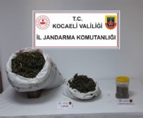 Kocaeli'de 3 kilo 700 gram esrar ele geçirildi