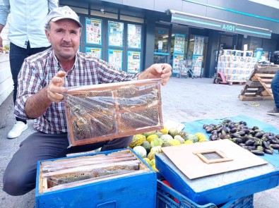 Kursta Ögrendigi Aricilikla Meslek Sahibi Oldu