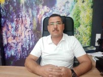 Zeytinde Fiyatlar Düstü, Yaginda Ikiye Katlandi