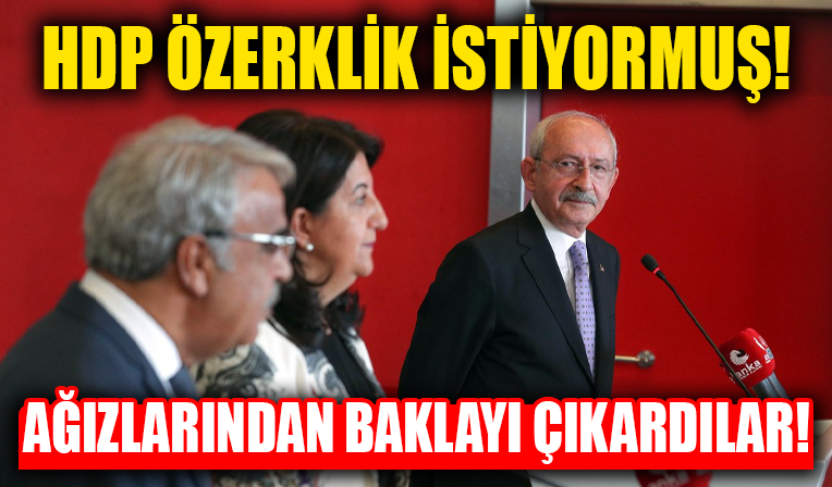 HDP, CHP ve İYİ Parti kavgasından 'özerklik talebi' çıkardı!