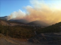 Mersin'de orman yangını: 30 ev tahliye edildi