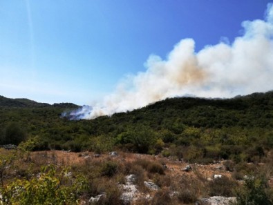 Antalya'da orman yangını başladı