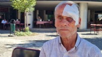 Karabük'te 72 yaşındaki CHP üyesi, il başkanlığında darbedildiğini iddia etti! Partiyi çeteler idare ediyor!
