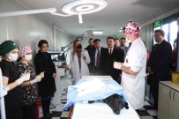 Dokuz Eylül'den Sokak Hayvanlarina Sefkat Eli