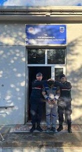 Kirklareli'de 5 Yillik Faili Meçhul Cinayette 'Yegen' Detayi