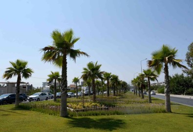 Kusadasi Belediyesi Bir Yilda Yesile 18 Milyon 415 Bin TL'lik Yatirim Yapti