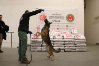 Yunanistan'dan Türkiye'ye Giris Yapan Tirda 603 Kilo 500 Gram Skunk Ele Geçirildi