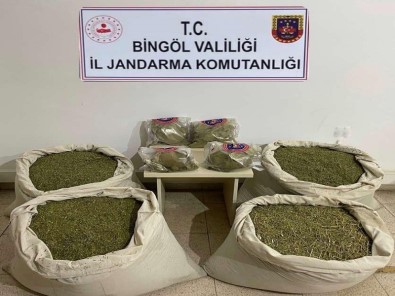 Bingöl'de Kökünü Kurutma Operasyonu Açiklamasi 145 Kilo Esrar Ele Geçirildi