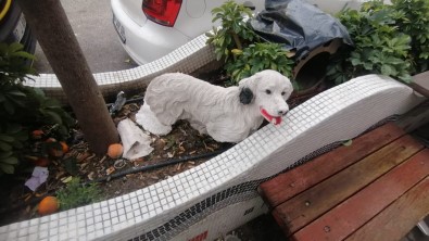 Is Yerinin Önündeki 25 Liralik Köpek Maketlerini Çaldilar