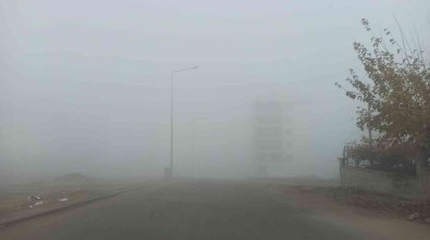 Siirt'te Sabahin Erken Saatlerinde Yola Çikan Sürücüler Sise Yakalandi