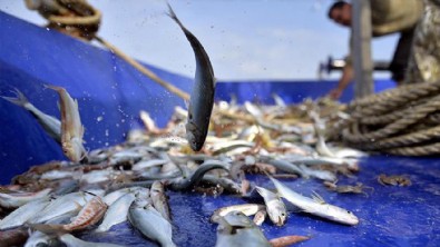 Küçük ölçekli balıkçılara destek ödemeleri artırıldı