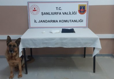 Şanlıurfa'da yolcu otobüsünde uyuşturucuyla yakalanan zanlı tutuklandı