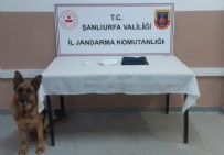 Şanlıurfa'da yolcu otobüsünde uyuşturucuyla yakalanan zanlı tutuklandı