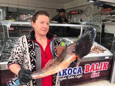 Kilosu 250 Liradan Tezgahta Yerini Aldi