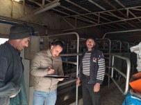 KKYDP Programina Basvurular Devam Ediyor