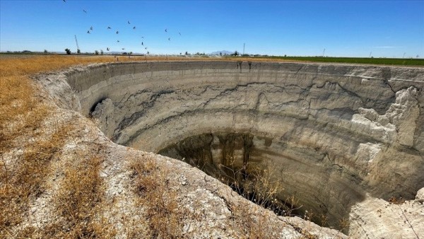 Konya'da sayıları giderek artıyor! Korkutan açıklama: Afet riski var .
