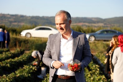 Inegöl Tarimi Sahlaniyor