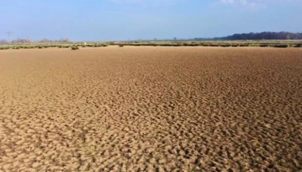 Endişelendiren manzara! Sular çekildi bu hale geldi!