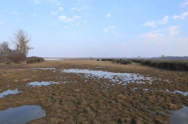 Endişelendiren manzara! Sular çekildi bu hale geldi!