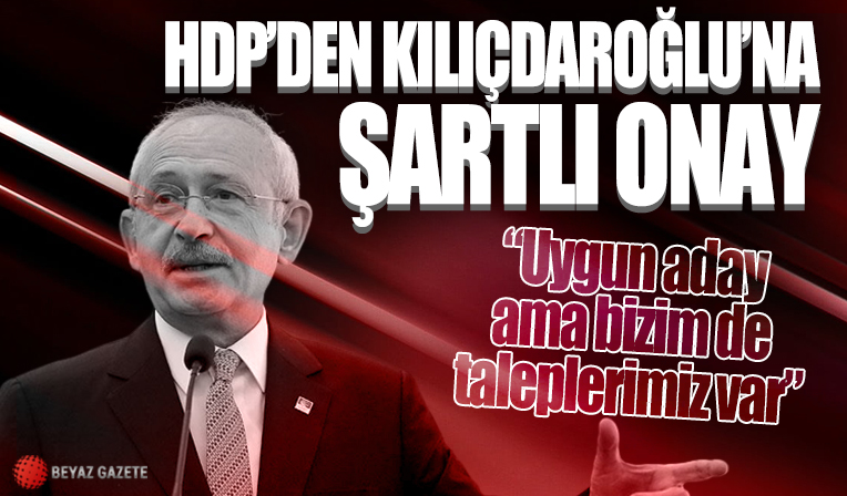 HDP'li Ahmet Türk'ten Kılıçdaroğlu'na şartlı onay: Uygun aday ama bizim de taleplerimiz var