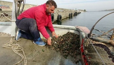 Çuvallarla topluyorlar: Dünyanın dört bir yanına gönderiliyor