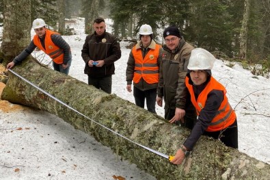 Gölyaka'da Orman Üretim Bölmeleri Kontrol Edildi