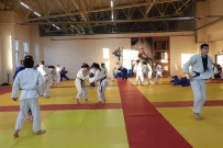 Karaman'da 250 Sporcu Judo Ortak Çalisma Kampinda Bulustu